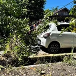 Pohon Tumbang Nyaris Menimpa Mobil di Ngadiluwih Karanganyar