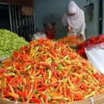 Petualangan Rasa Mencicipi Olahan Cabai Khas Tiap Provinsi