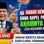 Dana Rapel Pensiunan