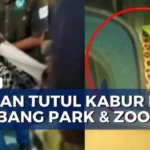 macan tutul kabur Lembang