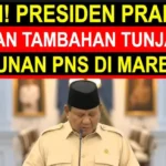 Tambahan Gaji Pensiunan PNS