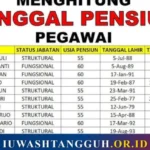 Batas Usia Pensiun PNS