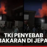 TKI penyebab kebakaran Jepang